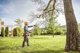 How Our Tree Care Process Works  in  Edisto, SC